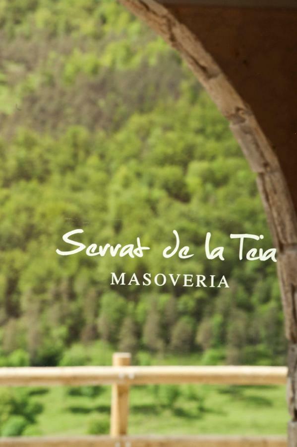 Mas Serrat De La Teia Sant Joan de les Abadesses Kültér fotó
